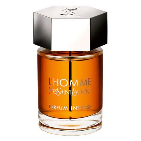 ysl l homme cologne fragrantica|l homme YSL price.